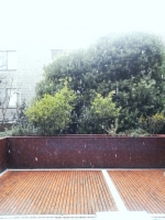 NEC_0827 のコピー.JPG